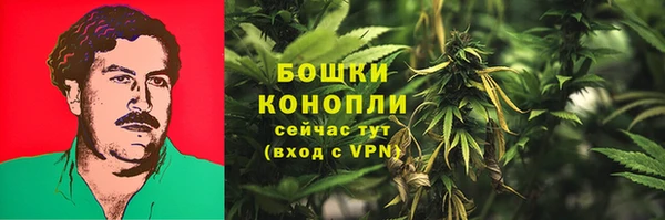 spice Абинск