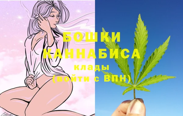 соль ск Абаза