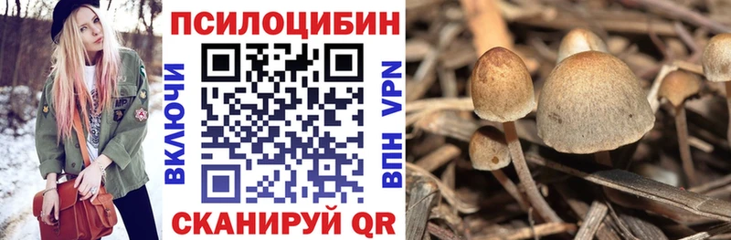 Псилоцибиновые грибы Psilocybe  маркетплейс телеграм  OMG   Ужур  даркнет сайт 